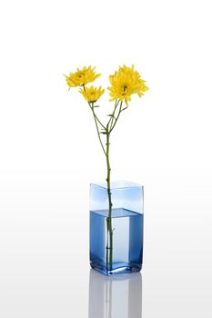 A blue vase with a yellow flower isolated on white background 
