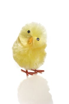 Young Easter chicken toy on a white background