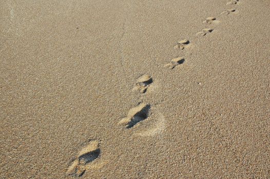 Footprints going over a sand dune