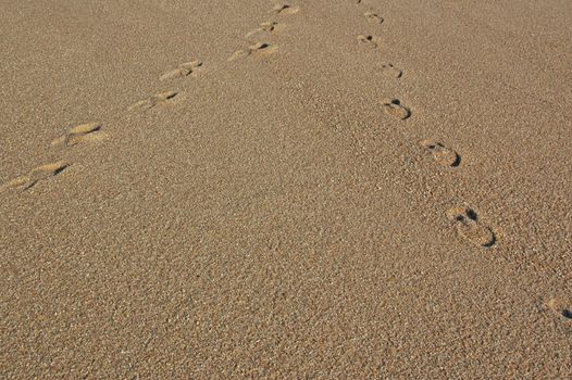 Footprints going over a sand dune