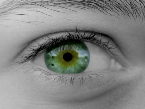 Green female eye