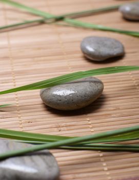 Spa composition of stones and herbs            