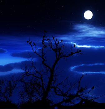 A lot of birds sitting on a silhouetted tree with an attractive sky background.