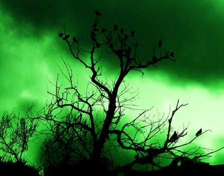 A lot of birds sitting on a silhouetted tree with an attractive sky background.