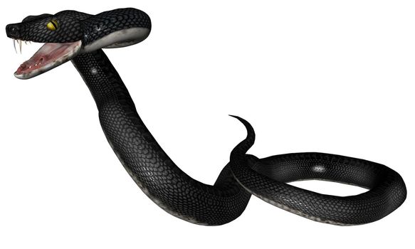 3D rendered snake on white background isloated