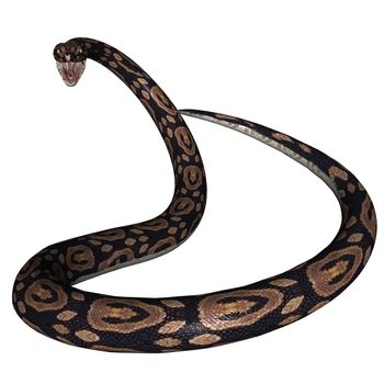 3D rendered snake on white background isloated