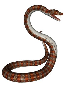 3D rendered snake on white background isloated