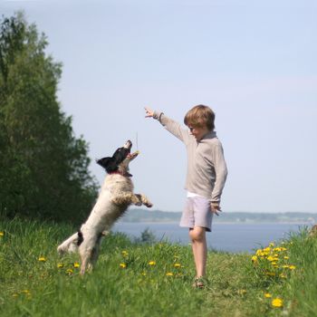 boy playing with the dog on green hill near the Razna lake, Latvia (selective focus on dog's mouth)