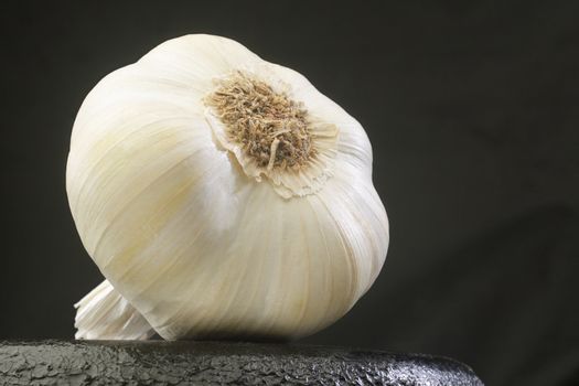 Whole head of garlic on black background.