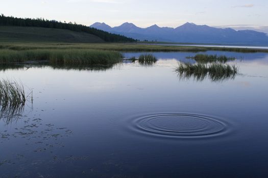 Lake Khubsugul. Mongolia. The western coast