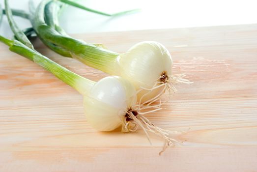Green onions.fresh vegetables 