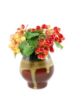 red wild berries in vase isolated on white