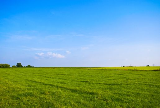 bright green pasture and bright blue sky