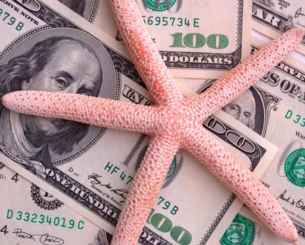 How mach is the summer travel? Close-up of 100 dollar bill and starfish