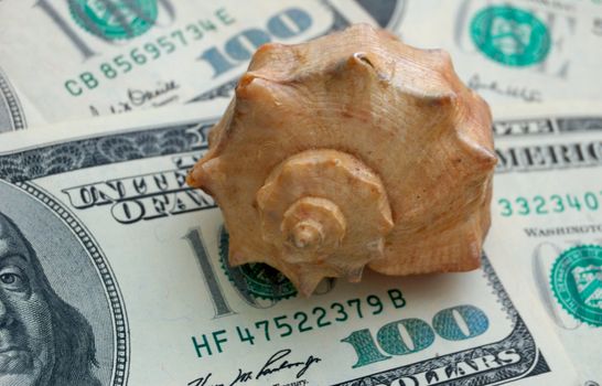 How mach is the summer travel? Close-up of 100 dollar bills and shell