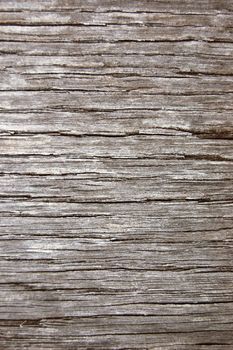 texture of old wood can be used as background