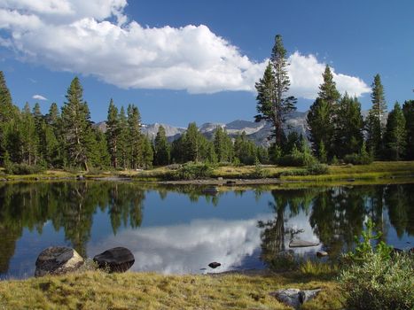 A snow melt pond high in the Sierra Mountains of Yosemite National Park.