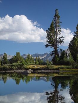 A snow melt pond high in the Sierra Mountains of Yosemite National Park.
