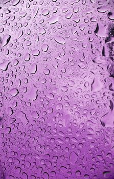 A macro of some beautiful water droplets over a purple background.