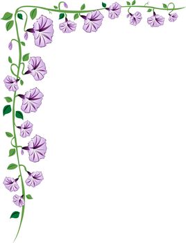 A morning glory vine border with purple flowers, leaves and buds.
