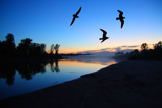 river dusk landscape with gulls after sunset