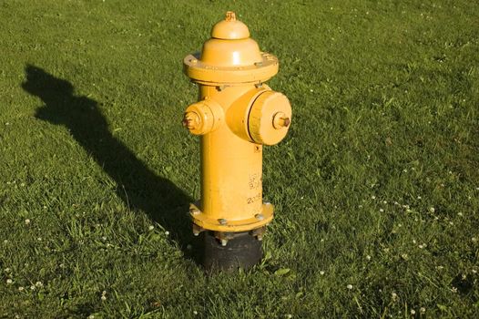 A yellow fire hydrant in the grass with a long shadow in the afternoon.