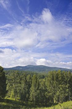 Landscape with the fine sky, a wood, mountains, clouds.