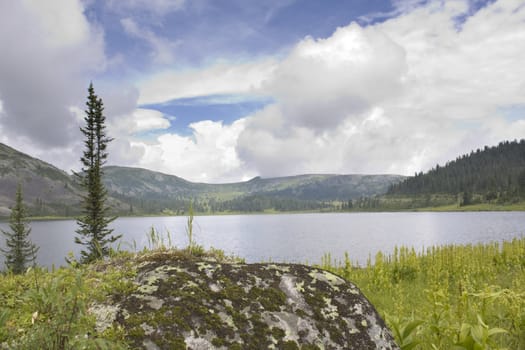 Kind on mountain lake. A stone with a lichen in the foreground.