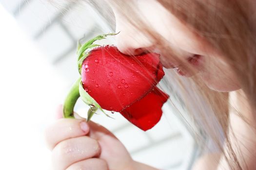 sniff scent of rose, a girl and roses, red roses, a gift from a lady