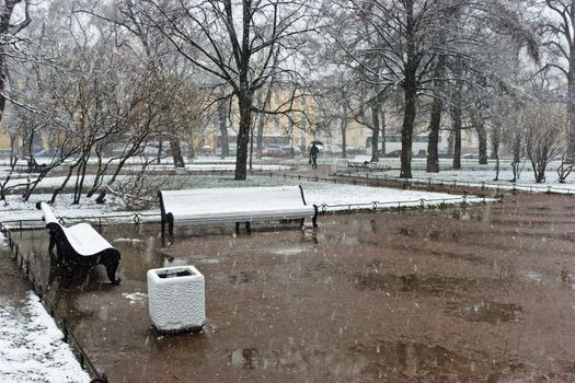 Winter storm at spring park, Saint Petersburg, Russia