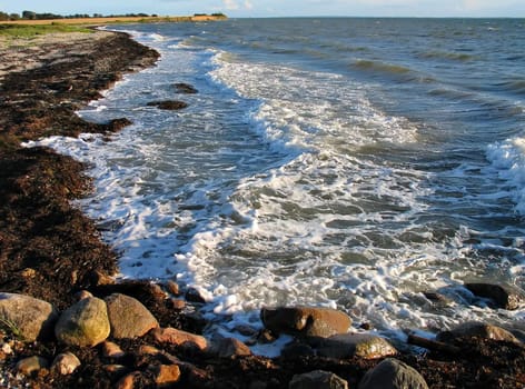 Danish sea landscape in the island of Funen facing west