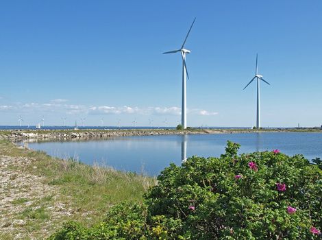 modern electrical energy producing wind mills by the coast