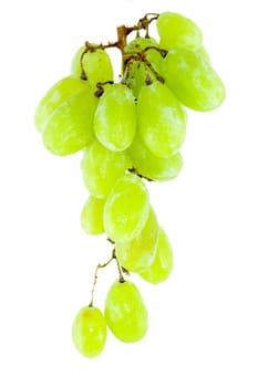 detail of a bunch of grapes on the white background