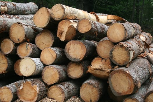A stack of logs, waiting to be milled into lumber