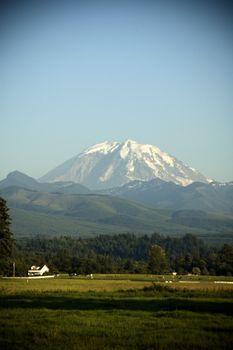 Mount Rainier towers over a picturesque farm with cattle and fields near Enumclaw, Washington.