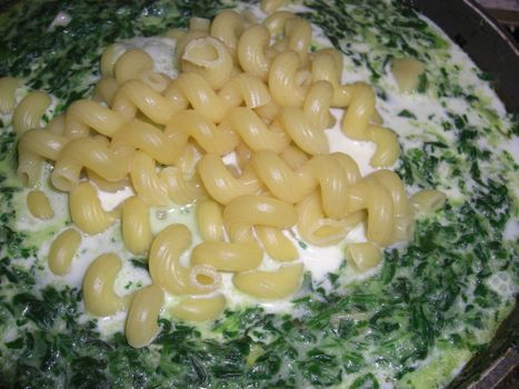 cooked spring-shaped Italian pasta in a chunky spinach cream sauce.