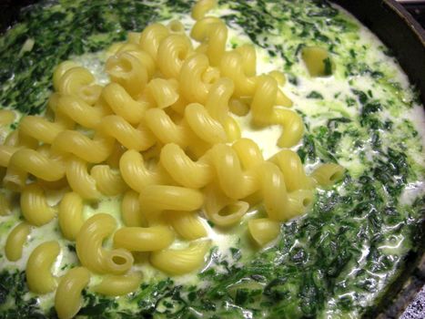 cooked spring-shaped lengths of Italian pasta in a chunky spinach cream sauce.