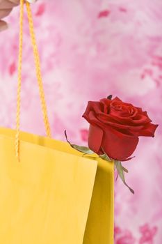 Close-up image of a rose sticking out of a yellow shopping bag. The background is made of the pink dress of the woman.Shot with Canon 70-200mm f/2.8L IS USM