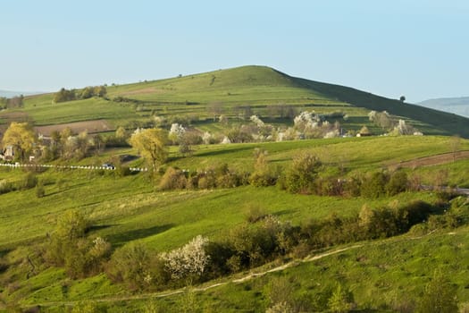 Spring landscape with blossoming trees and hill (location Romania).