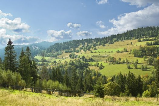 Wonderful landscape with a forest and cloudy sky.