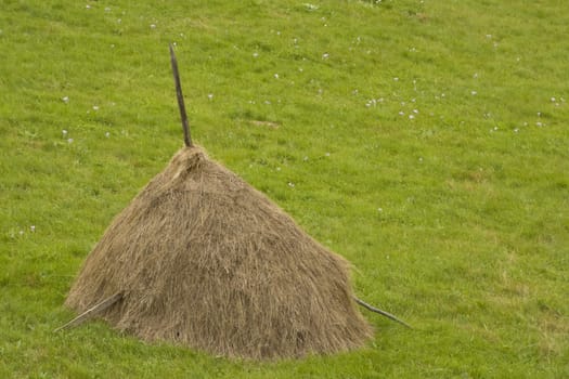Hay rick in a green grass field.
