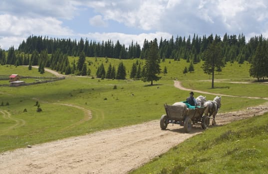 Cart pulled by horses on a mountain road.Location: Apuseni Mountains,Transylvania,Romania.