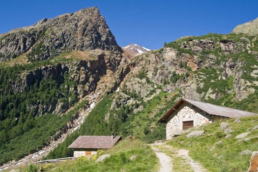 summer landscape of alpine pasture with two typical stone homes