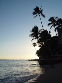 Late evening on the shores of Oahu.