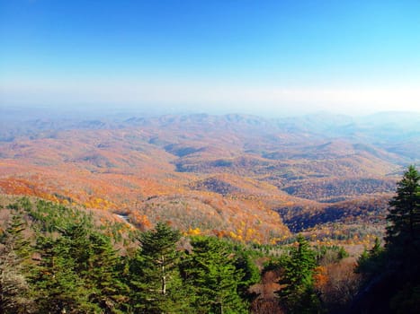 North Carolina and the Appellations from Grand Father Mountain in the fall.