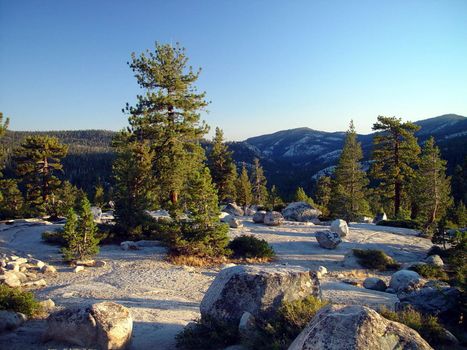 Situated high in the Sierra Mountains, this open space offers a chance for the evening sun to shin in.