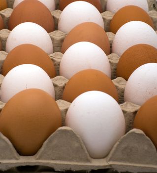 White and brown eggs located in chessboard order in cardboard packing.