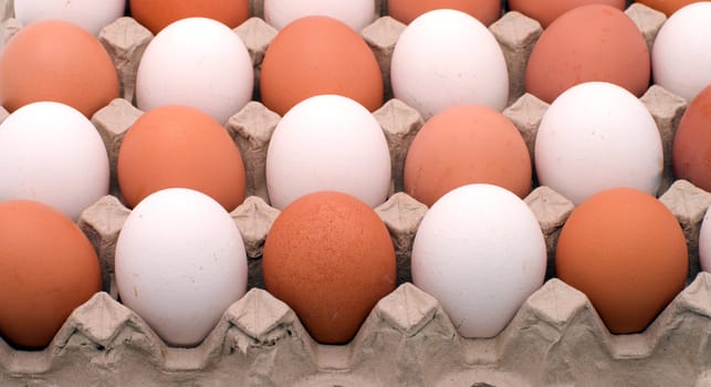 White and brown eggs arranged in a checkerboard pattern in a carton.