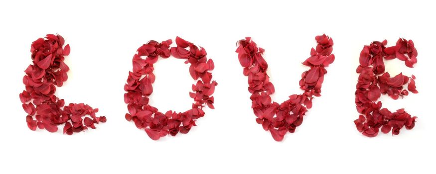 The word LOVE spelled using red leaves.