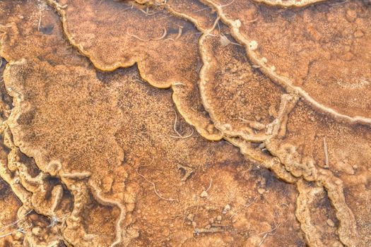 Natural background formed from bacteria and a hot spring.